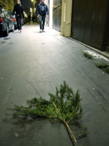 'Pine Branch', Paris, France