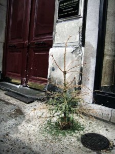 'Psychiatric Counselling I', 11th Arrondisement, Paris, France