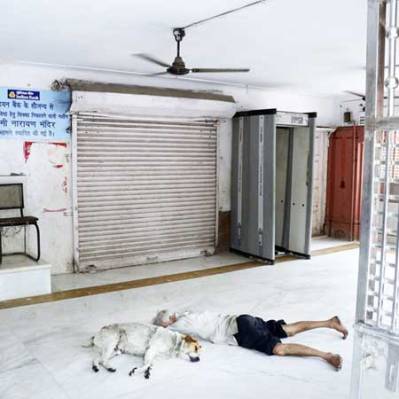 mananddog_2011_csublet_450p