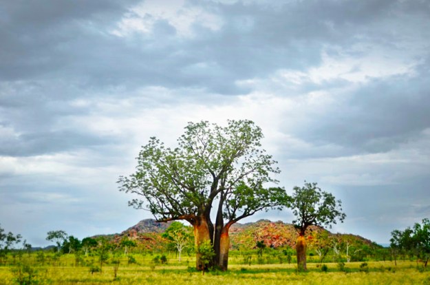 Road Trip from Melbourne to Broome